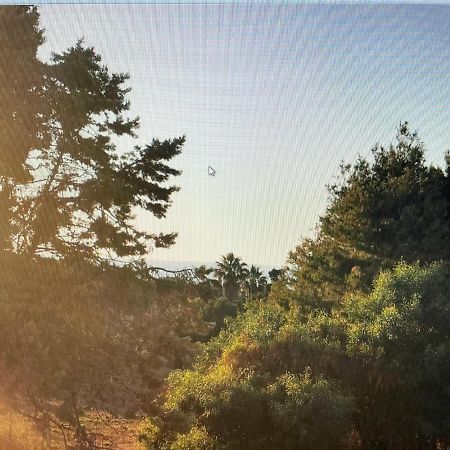 Siisa Appartamento La Muddizza Valledoria A 500 Mt Dal Mare Εξωτερικό φωτογραφία