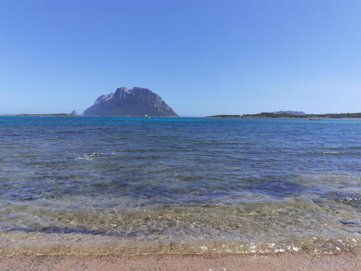 Siisa Appartamento La Muddizza Valledoria A 500 Mt Dal Mare Εξωτερικό φωτογραφία